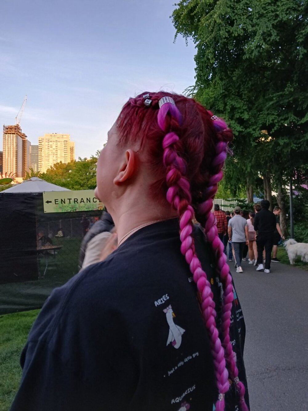 Basic Pony Braid. - Picture 11 of 15